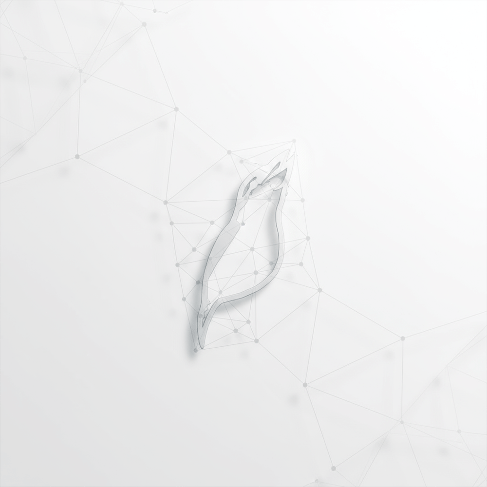 KOOKABURRAの制作物のご紹介です。